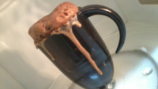 Bolo de café de micro-ondas