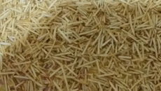 Fricassê de carne moída