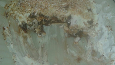 Torta de Sonho de Valsa Crocante.