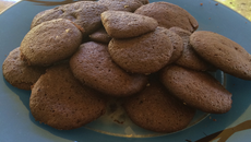 Biscoito de chocolate simples