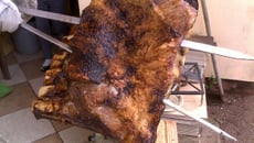 Costelão ou janela da costela