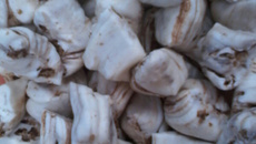 Balas de coco de chocolate