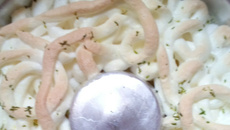 Torta de Limão Rápida