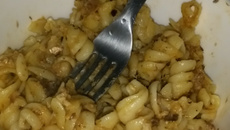 Massa com sardinha no micro-ondas