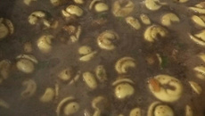 Sopa de feijão com agnoline e legumes