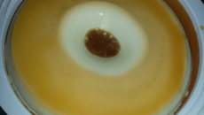 Pudim de leite condensado prático e rápido (não vai ao forno e não usa ovos)