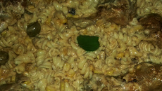 Macarrão com frango ao molho especial