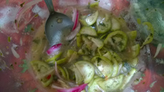 Ceviche de jiló da tia Su