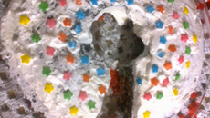 Cupcake da filha da Neidinha