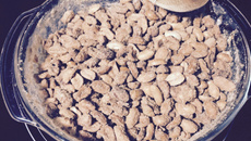 Cri-cri de micro-ondas