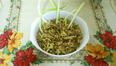 Carne com batata palha