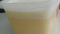 Sorvete de maracujá com gelatina