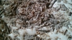 Sorvete de prestígio prático e fácil