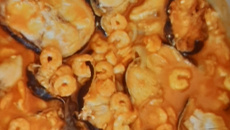 Pintado ao molho com camarão