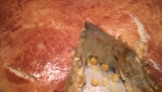 Torta de frango cremosa