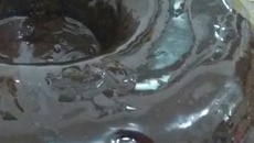 Bolo de chocolate com coco sem farinha