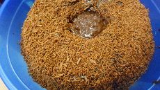 Bolo de fubá cremoso da Jé