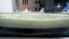 Brownie com mousse de limão