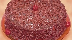 Bolo cremoso de chocolate e coco