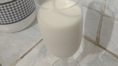 Batida de coco com conhaque
