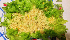 Salada leve de frango com maçã