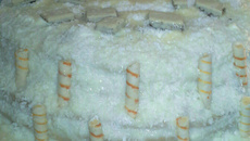 Rosquinha simples de coco