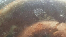 Pão nutritivo de fubá 