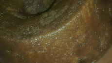 Bolo de chocolate molhado da Jú