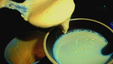 Gemada com camomila ao leite