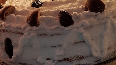 Torta de ameixa com doce de leite