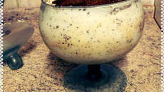 Mousse de Doce de leite