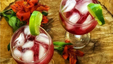 Gin com xarope de cranberry