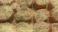 Rondelli fácil (massa pastel)