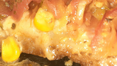 Pizza portuguesinha delícia