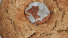 Bolo de maçã com aveia e canela