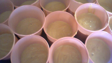 Mousse de goiabada
