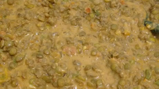 Strogonoff de carne moída e lentilha