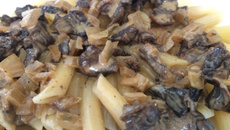 Massa pennine ao Dungui