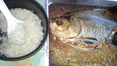 Peixe simples da Juju