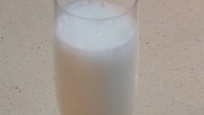 Pisco Sour