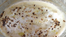 Peixe ao leite de coco com banana