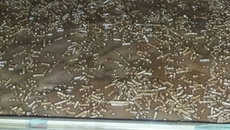 Morango com creme e chocolate