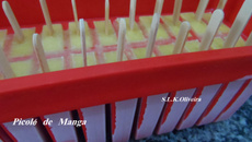 Picolé ou sacolé de manga