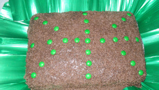 Bolo de chocolate recheado