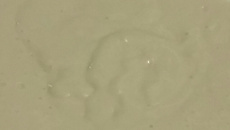 Mousse de maracujá rápido