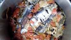 Sardinha na panela de pressão