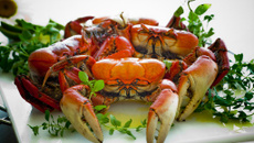 Caranguejo ao leite de coco