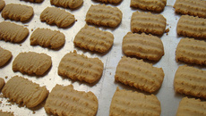 Biscoitos bicho da seda