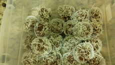 Surpresa de amendoim