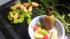 Molho de pimenta-de-cheiro